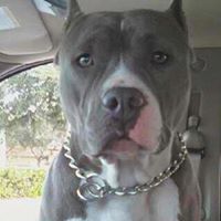 Edgardo Muniz Photo 7