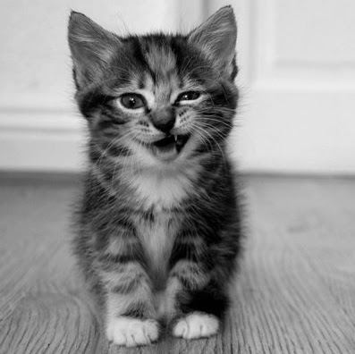 Katherine Ray Photo 23