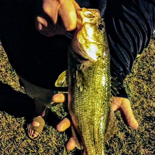 Clayton Ray Photo 12