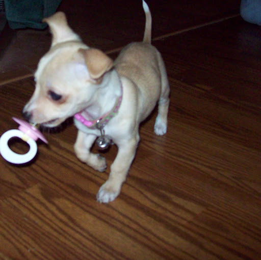 Cindy Nicholson Photo 23