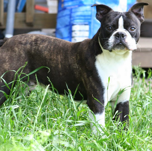 Velma Moore Photo 16