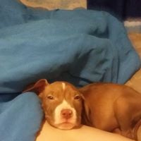 Suzanne Hogan Photo 13