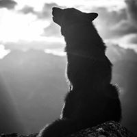 Cindy Aldrich Photo 12