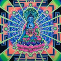 Karl Harris Photo 37