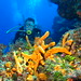 Mark Giles Photo 18