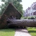 Timothy Storms Photo 18