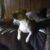 Phyllis Riley Photo 10