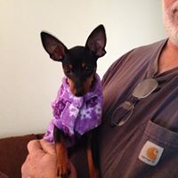 Penny Lockhart Photo 18