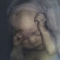 Michele Chavez Photo 15