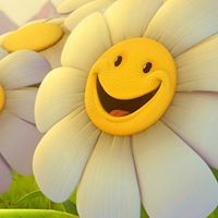 Ann Kraemer Photo 23