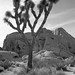 Joshua Masters Photo 42