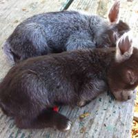 Cathy Elliott Photo 5