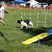 Cynthia Ray Photo 28