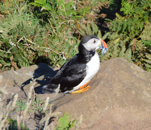 Wendy Hunter Photo 12