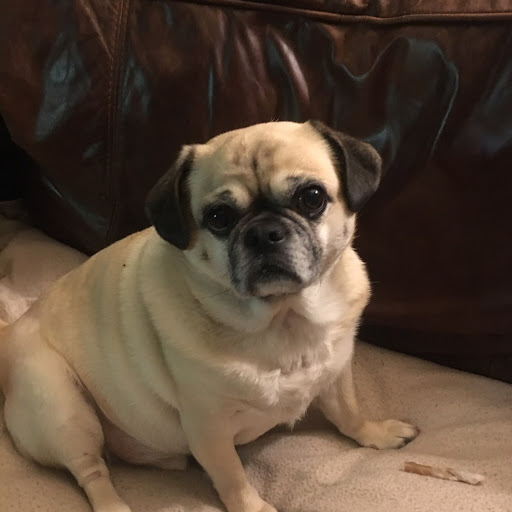 William Slattery Photo 38