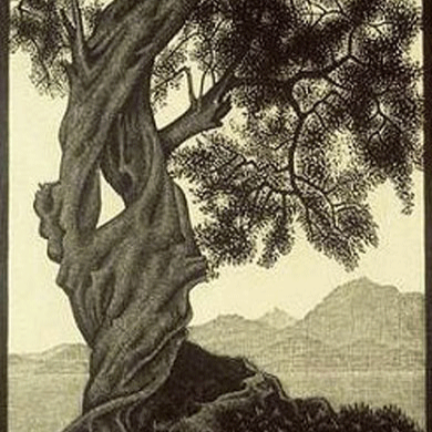 Samuel Richter Photo 21 Samuel Richter Photo 21