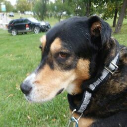 Mike Farkas Photo 40