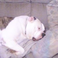 Dennis Duncan Photo 9 Dennis Duncan Photo 9