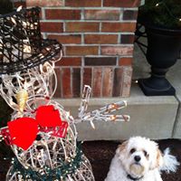 Baxter Morris Photo 2