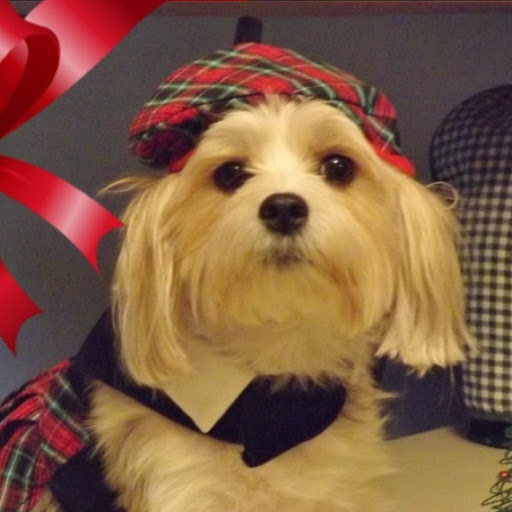 Robin Steele Photo 20