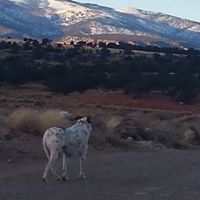 Kevin Daily Photo 16