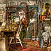 Scott Ackerman Photo 11