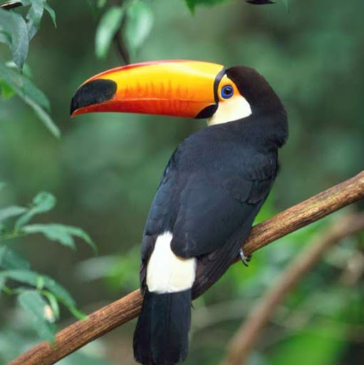 Robin Bauer Photo 11