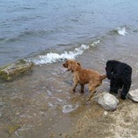 Douglas Devore Photo 11