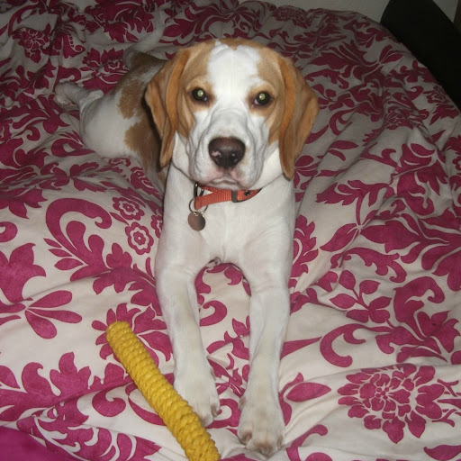 Derek Morin Photo 30