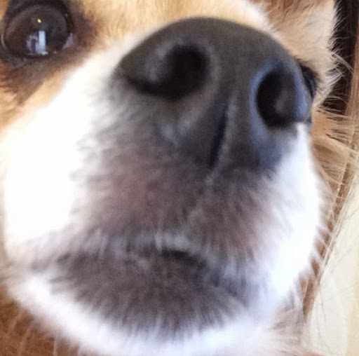 Eugene Ramos Photo 8