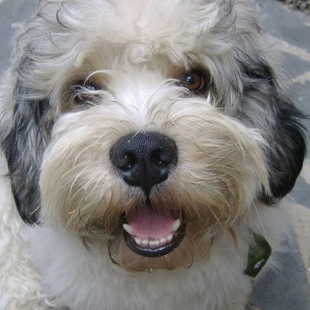 Suzanne Rich Photo 20