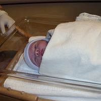 Anna Nelms Photo 3