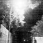 Susan Elias Photo 11