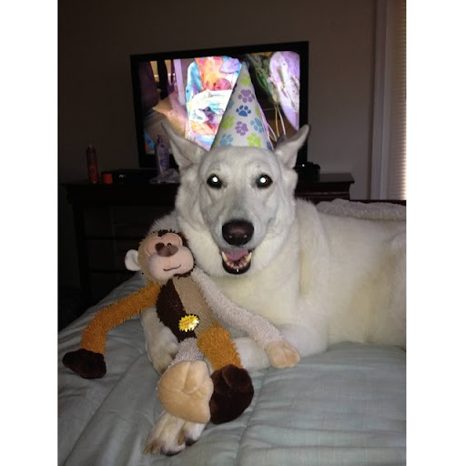 Kerry Duncan Photo 28