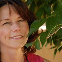 Susan Calabrese Photo 10