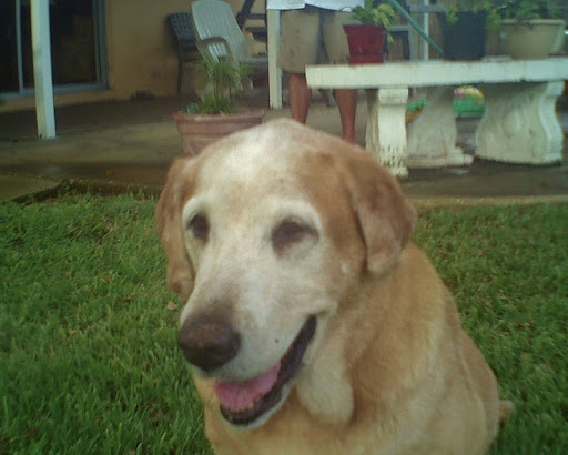 Steve Crain Photo 43