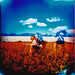 Diana Field Photo 20