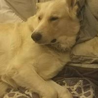 Jenny Barnett Photo 17