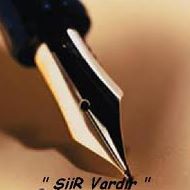 Kevin Michaelis Photo 11