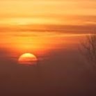 Jesse Jenkins Photo 42