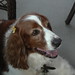 Robyn Welsh Photo 31