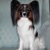 Jeanne Harper Photo 7