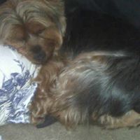 Charlene Douglas Photo 36