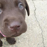 Thelma Russell Photo 11