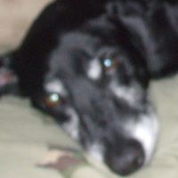 Teresa Harmon Photo 30