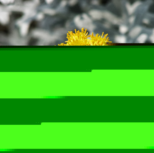 Claire Meyer Photo 19