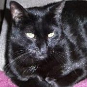 Rosalie Justice Photo 3