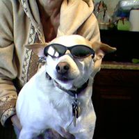 Vickie Wagner Photo 15