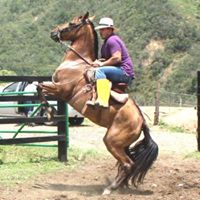 David Ruiz Photo 25