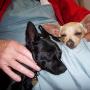 Carol Copeland Photo 38